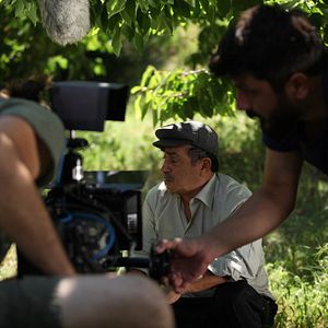 Fotoğraf Kiraz Mevsimi