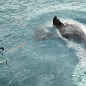 Fotoğraf Meg: Derinlerdeki Dehşet