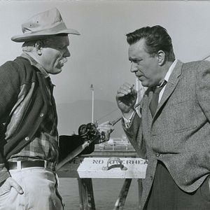 Fotoğraf Alkatraz Kuşçusu