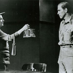 Fotoğraf Alkatraz Kuşçusu