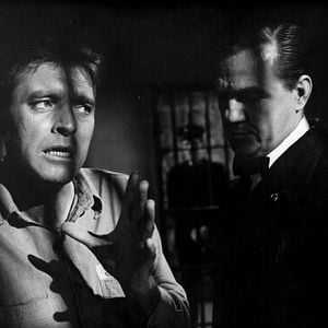 Fotoğraf Alkatraz Kuşçusu