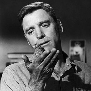 Fotoğraf Alkatraz Kuşçusu