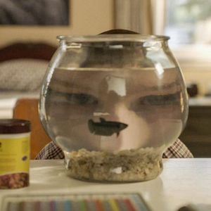 Fotoğraf Iain Armitage