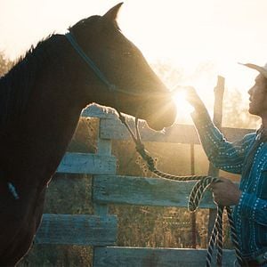 Fotoğraf Brady Jandreau