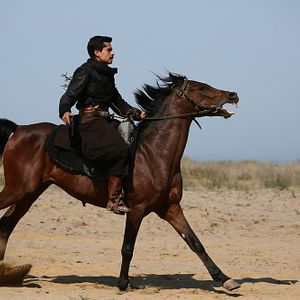 Fotoğraf Mehmetçik Kut'ül Amare