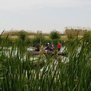 Fotoğraf El Embarcadero