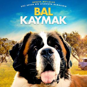 Fotoğraf Bal Kaymak