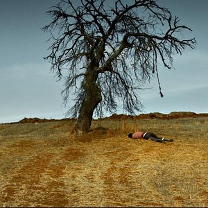 Fotoğraf Ahlat Ağacı