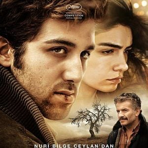 Fotoğraf Ahlat Ağacı