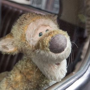 Fotoğraf Christopher Robin