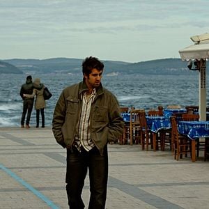 Fotoğraf Ahlat Ağacı