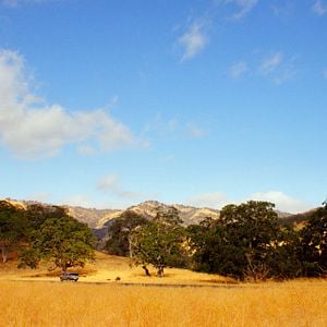 Fotoğraf Dehşet Yolu