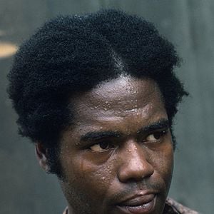 Fotoğraf Roots (1977)