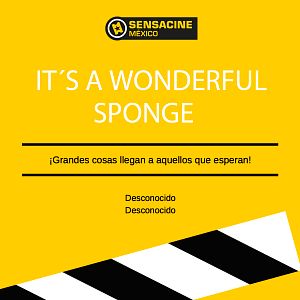 Fotoğraf SüngerBob KarePantolon: Firarda