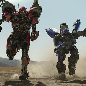 Fotoğraf Bumblebee