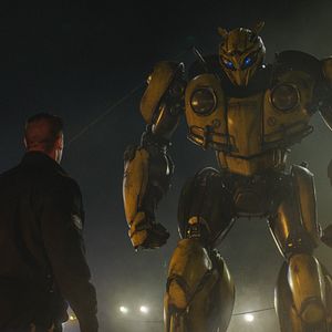 Fotoğraf Bumblebee