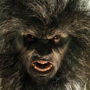 Fotoğraf Leo Fafard