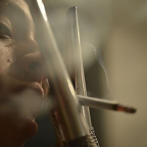 Fotoğraf Bixa Travesty