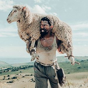 Fotoğraf Sew the Winter to My Skin