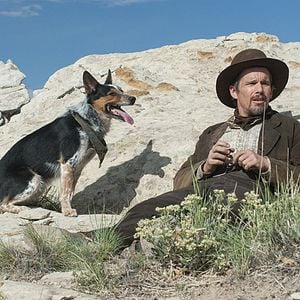 Fotoğraf In A Valley Of Violence