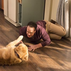 Fotoğraf Diedrich Bader