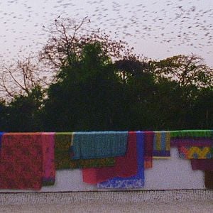 Fotoğraf The Grand Bizarre