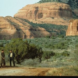 Fotoğraf Geceyarısı Avı