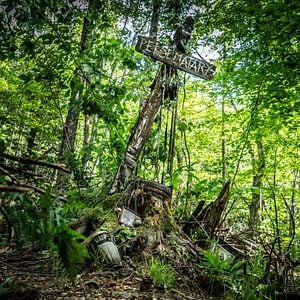 Fotoğraf Hayvan Mezarlığı