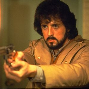 Fotoğraf Gece Kuşları