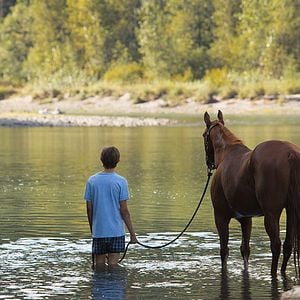Fotoğraf Lean On Pete