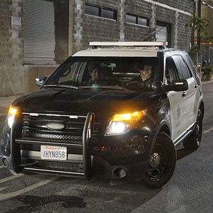 Fotoğraf Afton Williamson