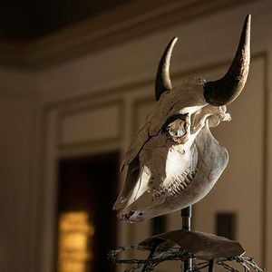 Fotoğraf I Am The Night