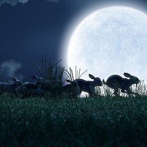 Fotoğraf Watership Down