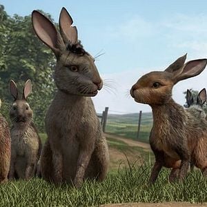 Fotoğraf Watership Down