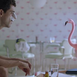 Fotoğraf Tiempo Compartido