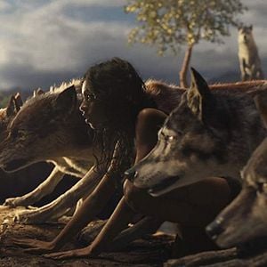 Fotoğraf Rohan Chand (II)