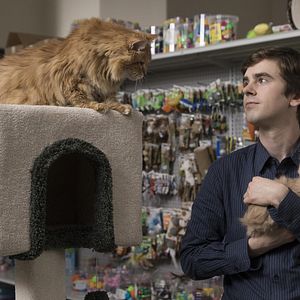 Fotoğraf Freddie Highmore