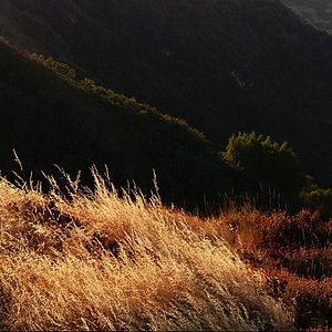 Fotoğraf Living in the Future's Past