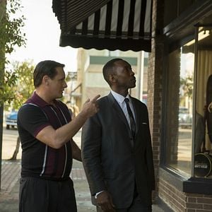 Fotoğraf Yeşil Rehber