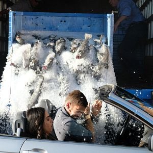 Fotoğraf Nishi Munshi