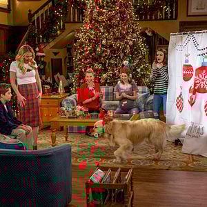 Fotoğraf Michael Campion