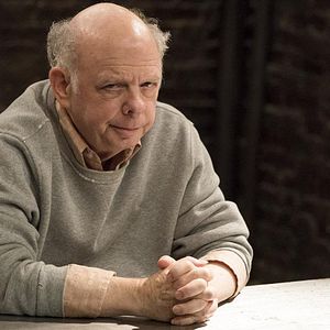 Fotoğraf Wallace Shawn