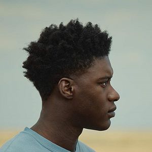 Fotoğraf The Last Tree