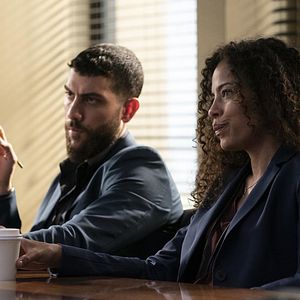 Fotoğraf Tawny Cypress