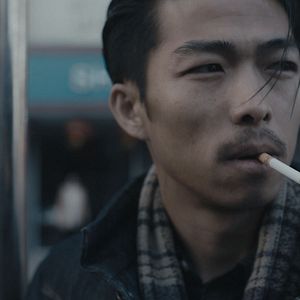 Fotoğraf Öylece Oturan Bir Fil