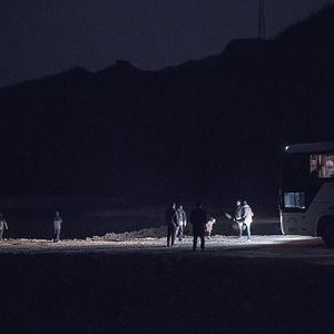 Fotoğraf Öylece Oturan Bir Fil