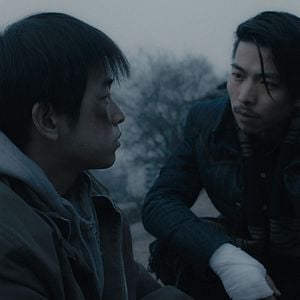 Fotoğraf Öylece Oturan Bir Fil