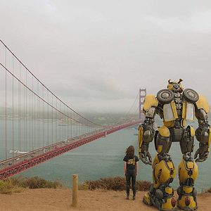 Fotoğraf Bumblebee