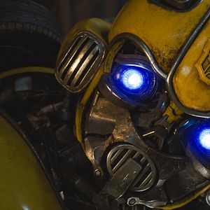 Fotoğraf Bumblebee