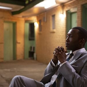 Fotoğraf Yeşil Rehber